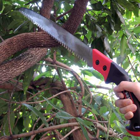 Scie de taille de jardin - Fournisseur de scie à main de taille d'arbre à lame courbée et droite