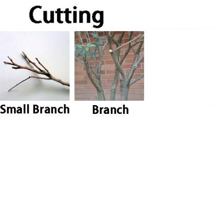 Folding saw for cutting branches