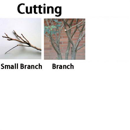 Pole saw for cutting medium branches