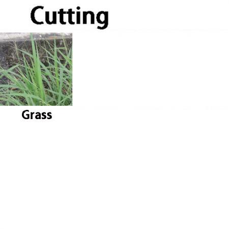 Soteck brugskniv til at skære græs