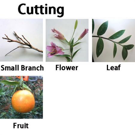 Soteck pruning shear applications for small branches, flowers, leaves, fruits