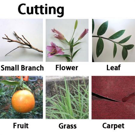 Soteck trädgårdsbeskärningssax för att klippa grenar, plocka frukt
