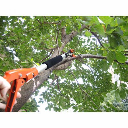 Soteck tree pruner with the spring-loaded trigger-action handle
