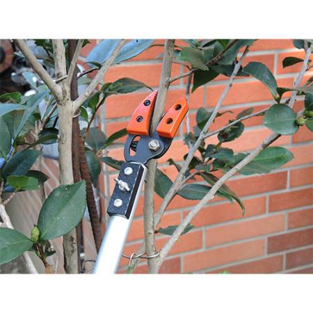 Soteck 40inch (1000mm) fixed length long reach tree pruner