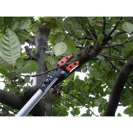 Soteck 60inch (1500mm) fixed length long reach tree pruner