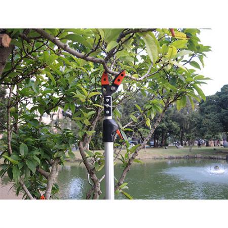 Soteck podadora de árboles de alcance largo fijo de 80 pulgadas (2000 mm)