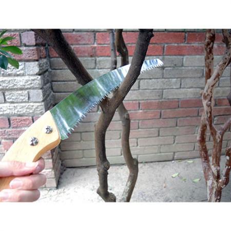Soteck pruning saw for pruning trees.