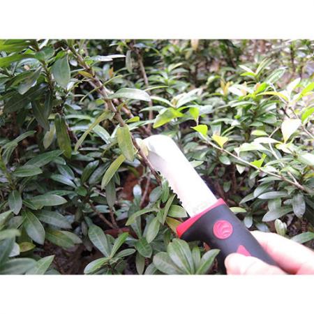 Soteck trädgårdskniv för att klippa grenar.