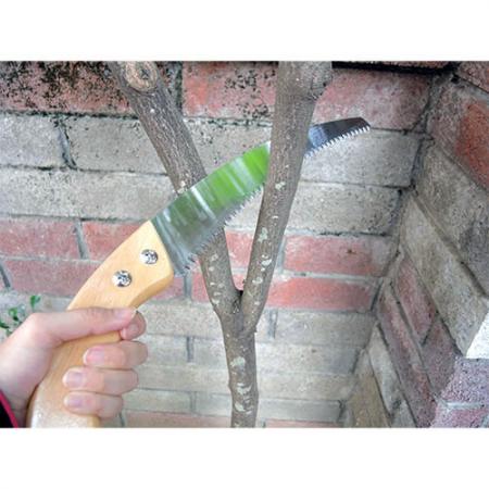 Curved blade pruning saw for fast cutting.