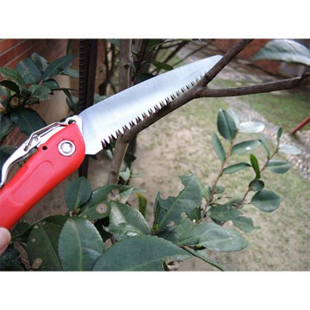 Soteck folding saw for pruning overhead.