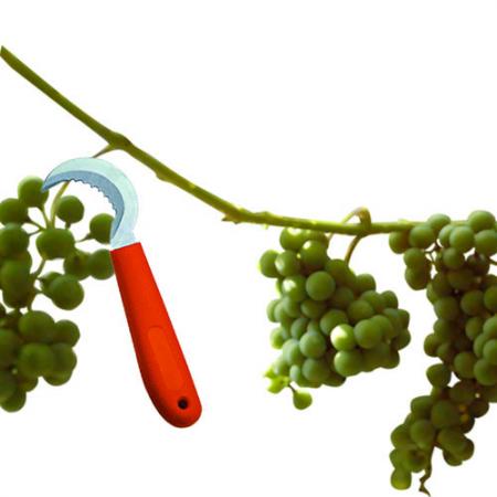 Soteck cuchillo de uva con hoja serrada.