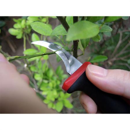 Krokbladskniv för att klippa grenar.