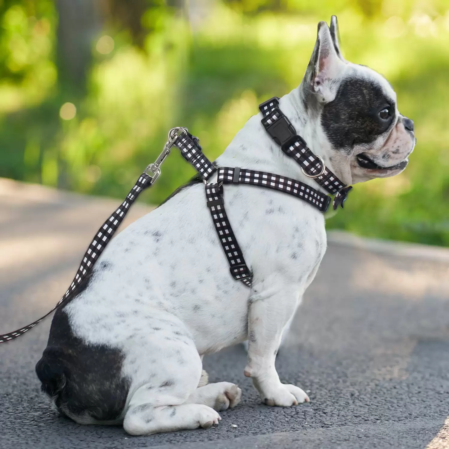 Conjunto de paseo para perros al por mayor de 3 piezas en stock