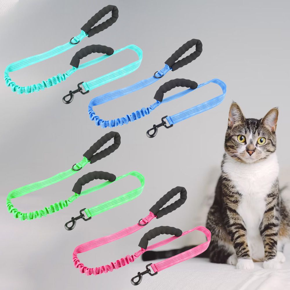 Wholesale Cat Bungee Leash Tailored Corporate Gift Solutions to