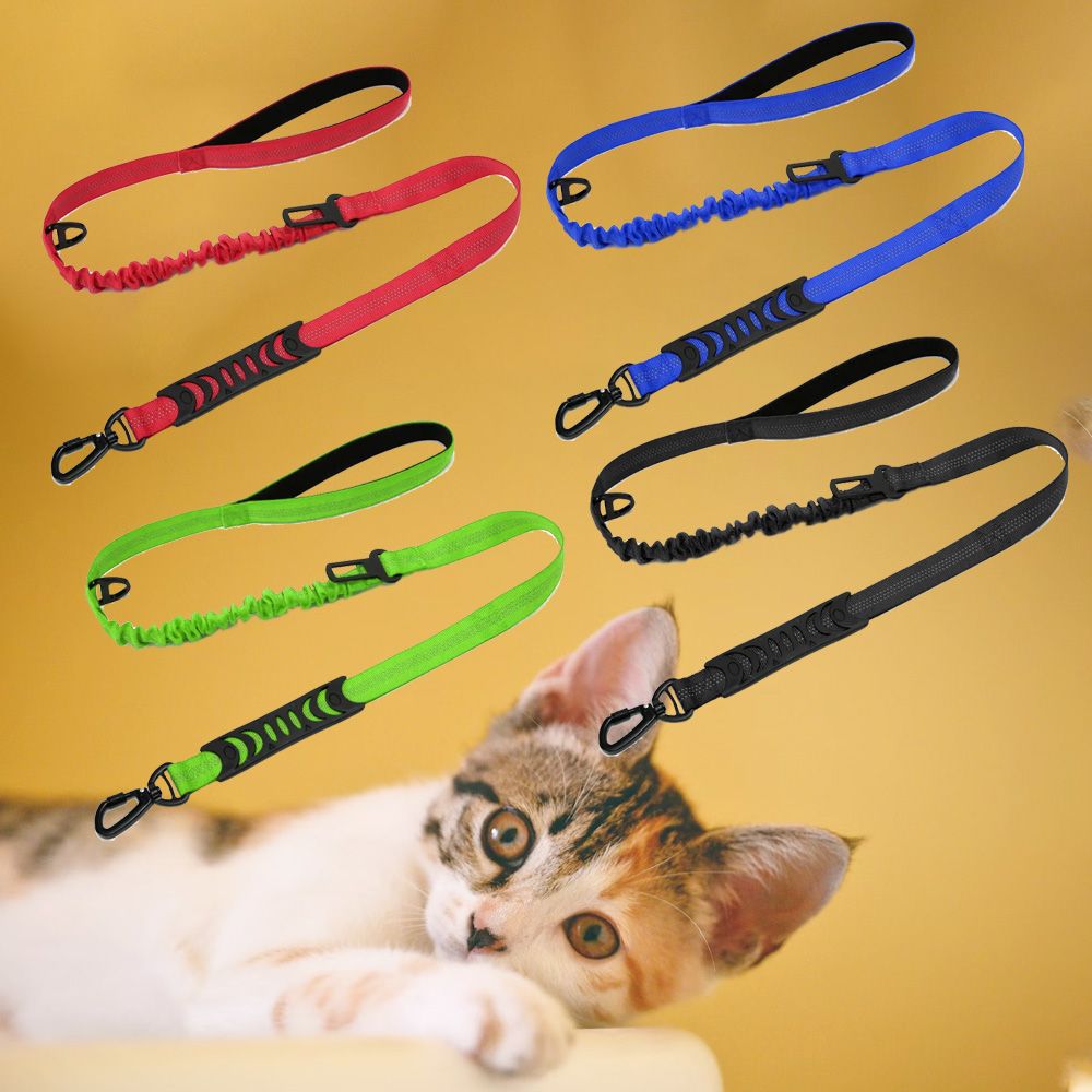 Wholesale Cat Bungee Leash Tailored Corporate Gift Solutions to