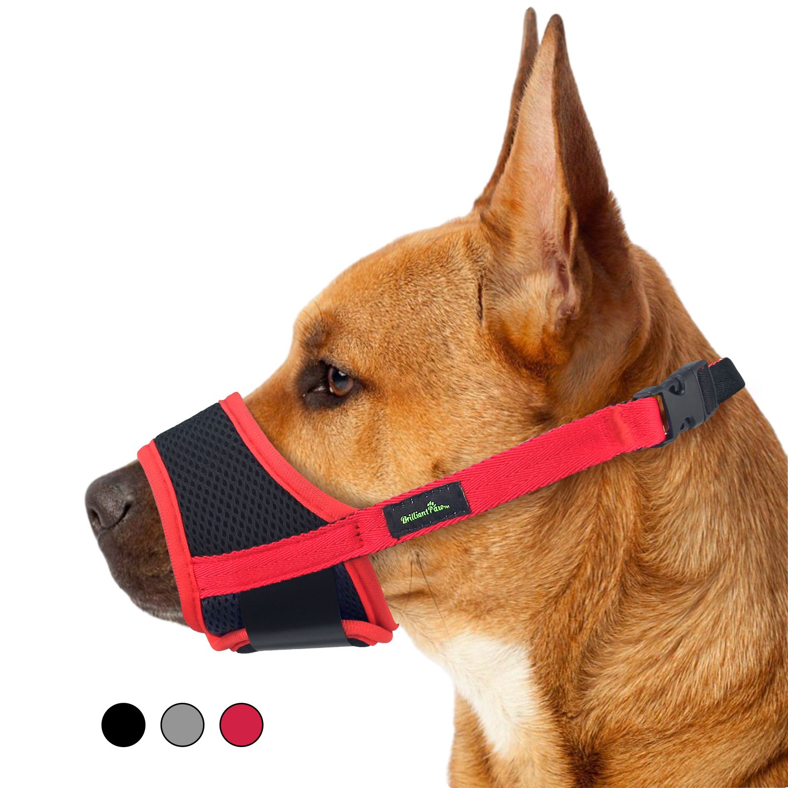 Muzzle Anjing Grosir Tersedia.