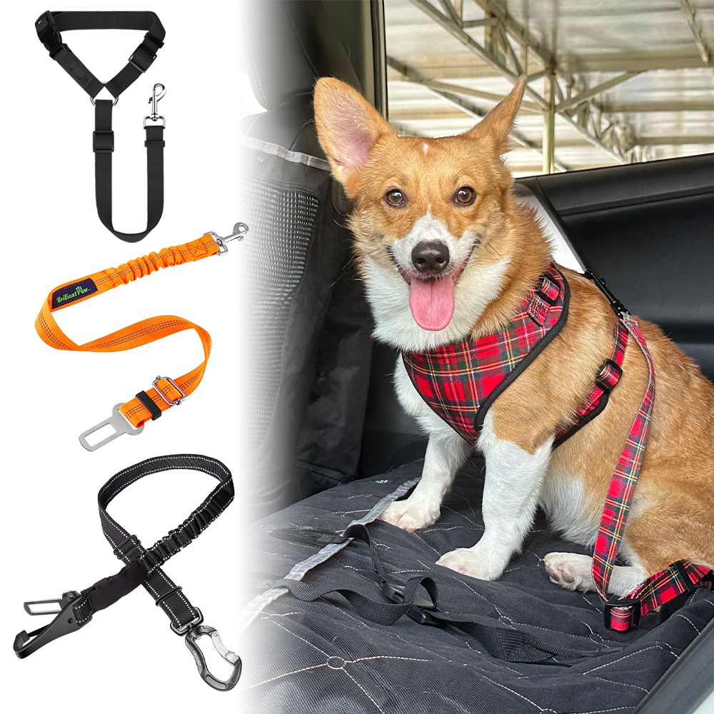 Slowton Dog Car Belt - 2 Pack Adjustable Headrest Restraints | Reflective Rubber For Safe Travel - C.Lila | Buy Now With Express International Delivery