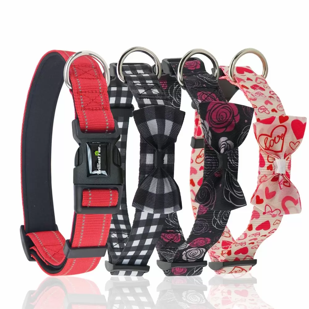 Dog Collars In Stock