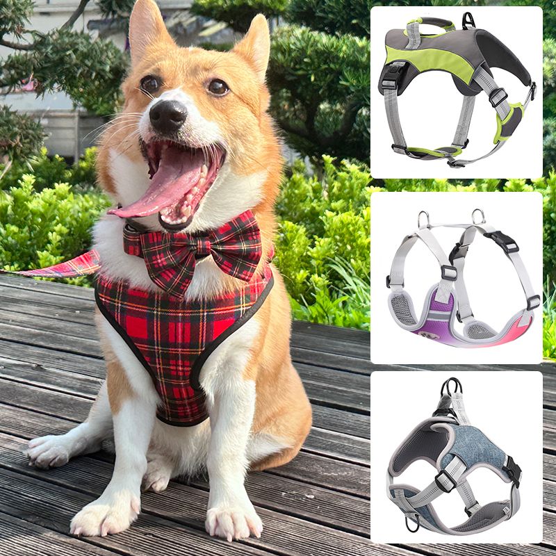 Durable Personalized Dog Harnesses With A Variety Of Styles