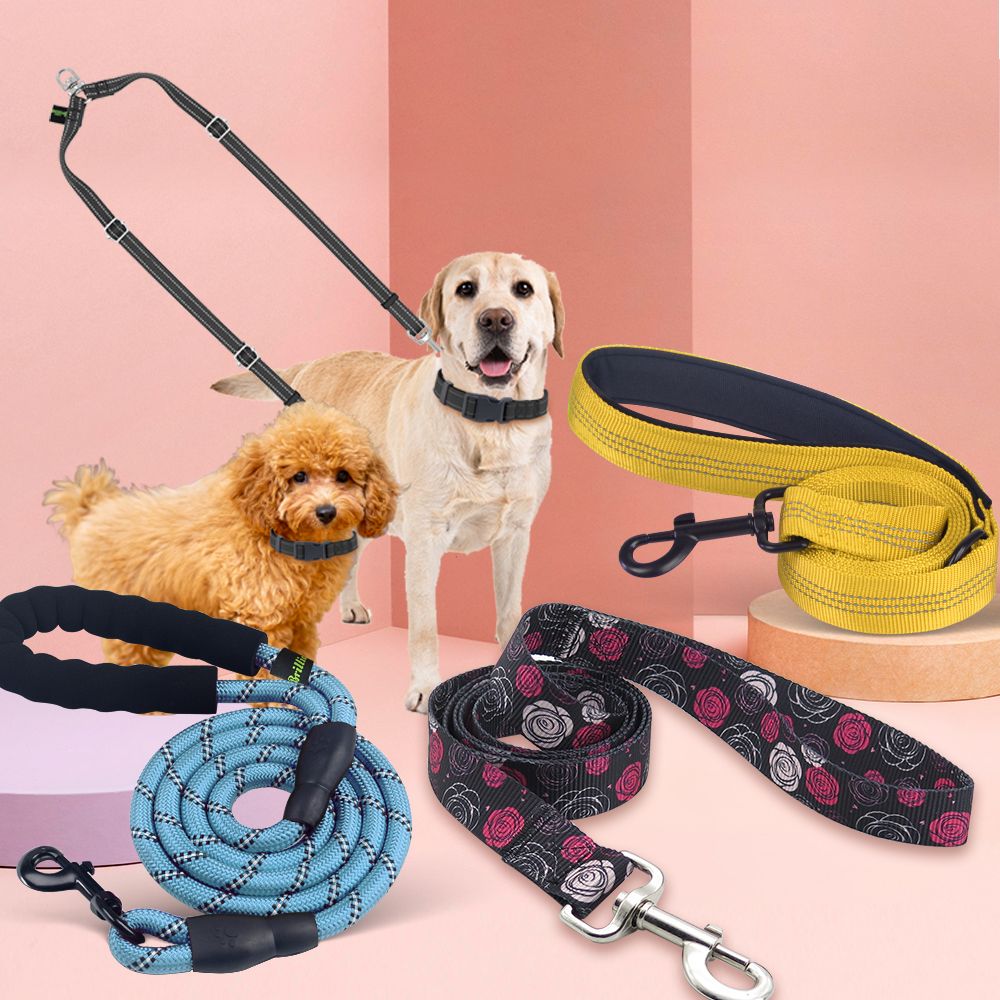 Laisse pour chien en stock