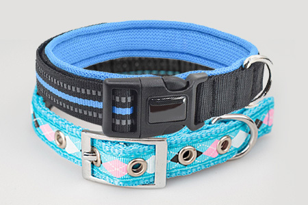 Optional Element for Pet Collar