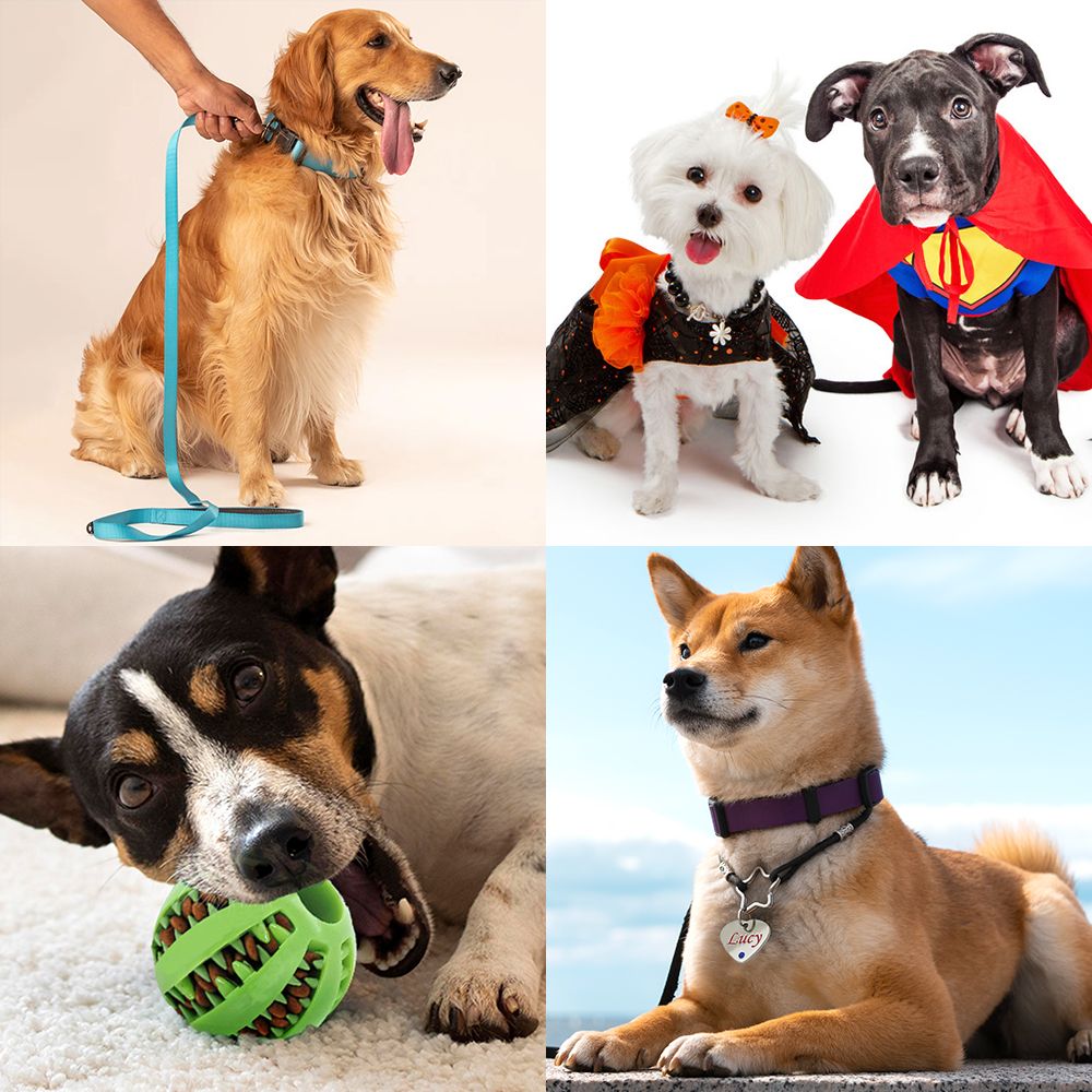 Produtos Personalizados para Animais a Granel / Especialista em Produtos Personalizados para Animais