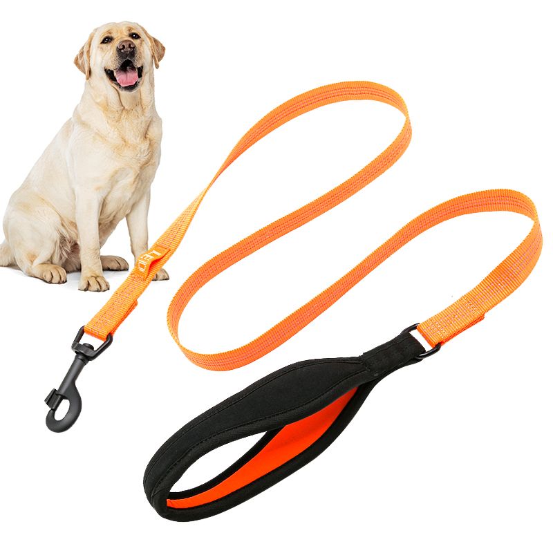 Wholesale Padded Handle Nylon Dog Leash Premium Custom Dog Leashes
