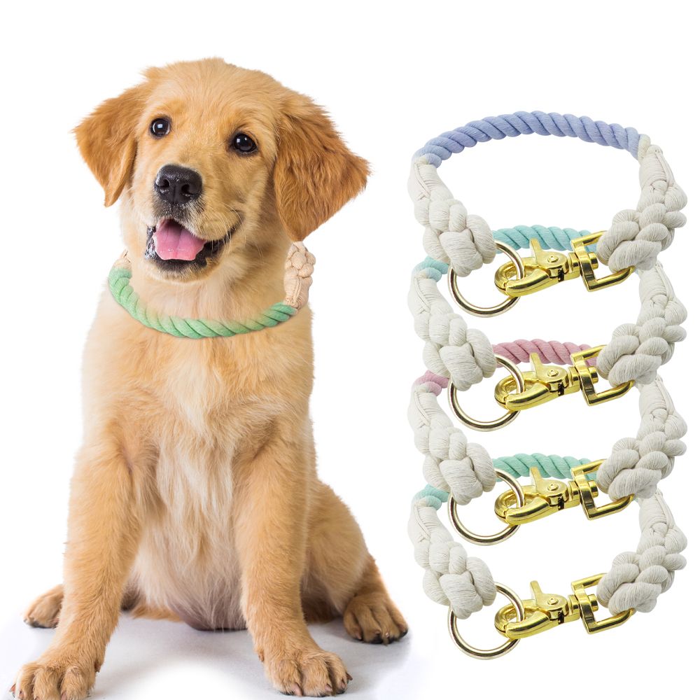 Rope Dog Collar – Custom, Durable, Fast Delivery
