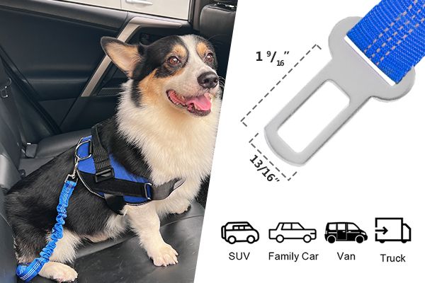thumbnail image 2 of Champion Dog Safety Seat Harness + Restraint Belt – Adjustable Pet Lead For Car / Van 2 of 6