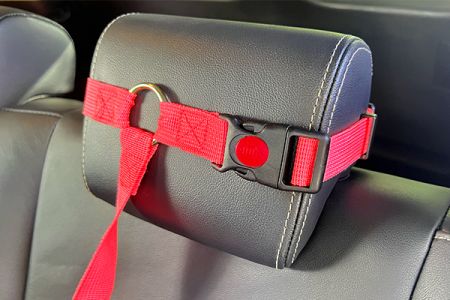 Design del seggiolino auto per cani 2 in 1