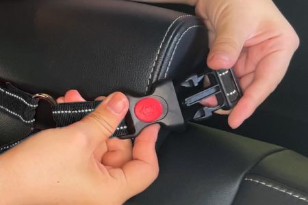 The Versatility of Our 2-in-1 Design Dog Leash for Car