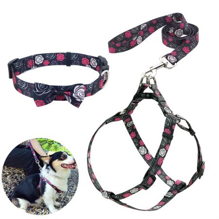 طوق كلب مزخرف بالورود مكون من 3 قطع.