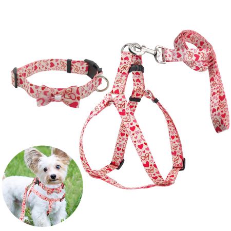 طوق كلب مزخرف بشكل قلب بالجملة.