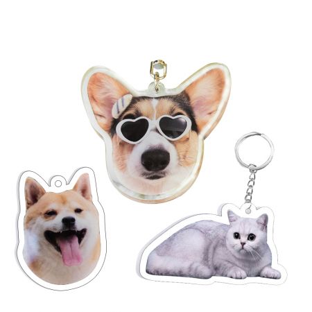 Индивидуальная акриловая бирка с именем для собаки.