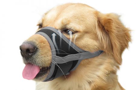 مواد عالية الجودة لحماية كلبك