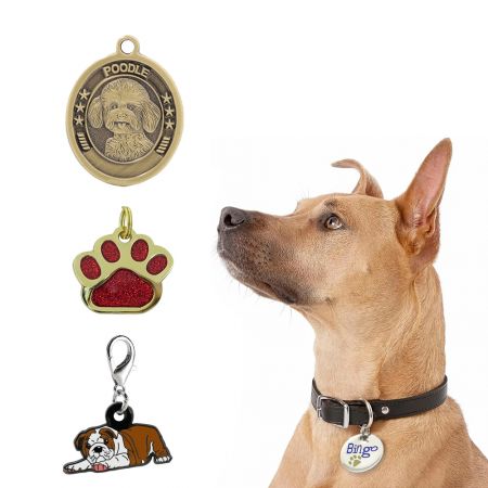 Etiqueta de Estampa de Bronze / Ferro para Animais de Estimação - Etiqueta de Estampa de Bronze / Ferro para Animais de Estimação