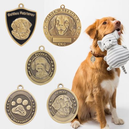 Personalized Dog Tags With Coloring.