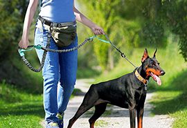 The Bungee Leash Is Especially Suitable For The Owner To Run The Dog While Doing Sport