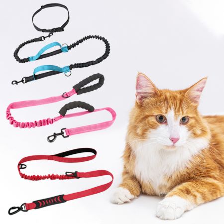 Wholesale Cat Bungee Leash