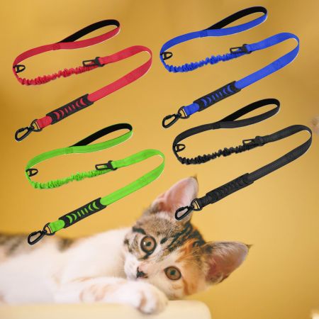 Cat Bungee Leash W / Two Handles.