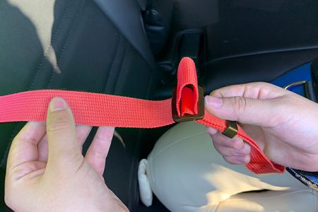 Comfortable and Fully Adjustable Car Leash