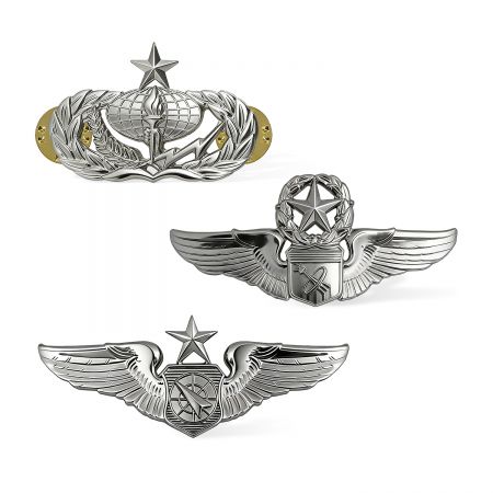 개인화된 공군 날개 핀.