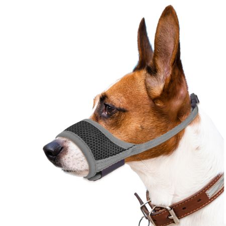 Air Mesh Breathable Drinkable Dog Muzzle.