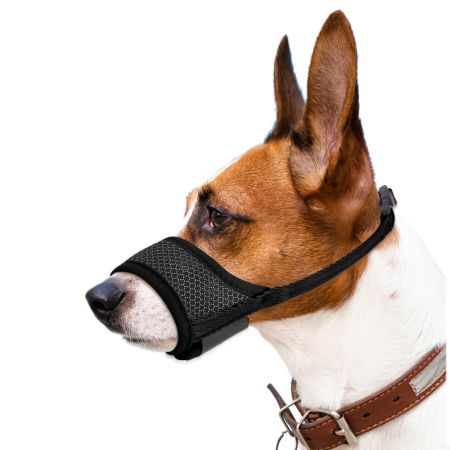 Small Dog Muzzle For Grooming.