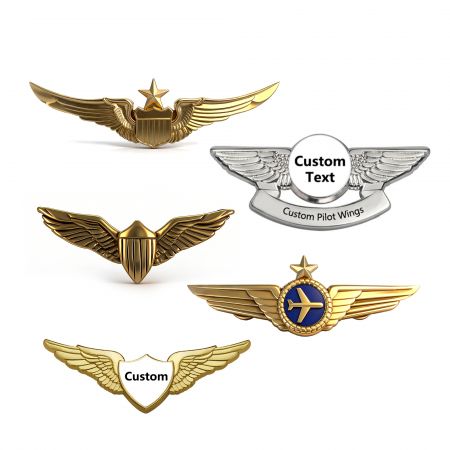 دبوس أجنحة الطيارين المخصص. - شركة تصنيع دبابيس أجنحة القوات الجوية حسب الطلب.