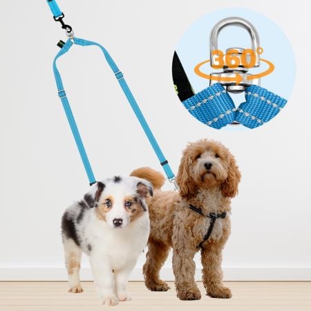 Divisore per guinzaglio personalizzato per due cani piccoli