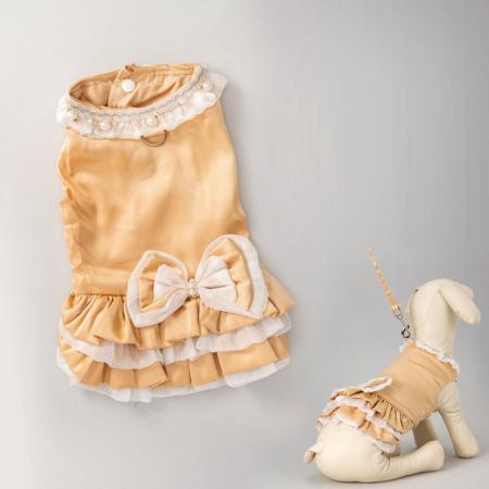 תלבושת יום הולדת לכלב עם פפיון.