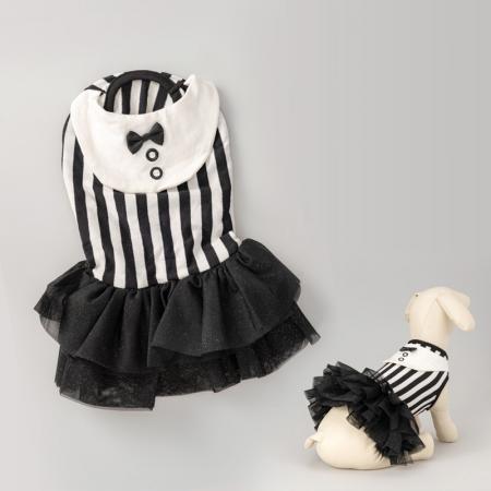 Classic Striped Dog Birthday Outfit.