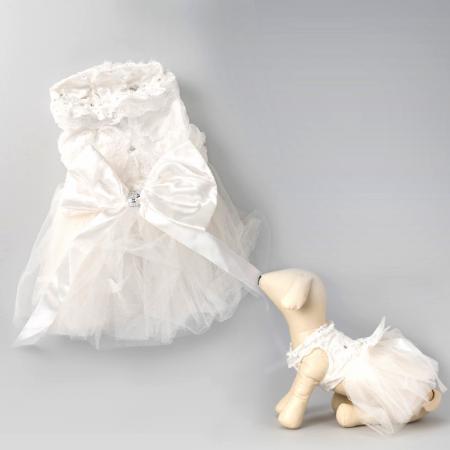 שמלות יום הולדת לכלב לבן טהור.