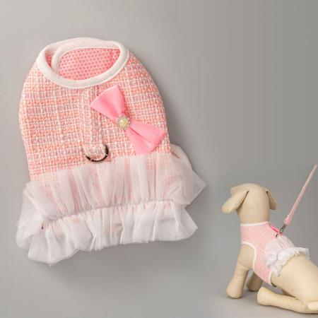 Harness יום הולדת לכלב רשת.